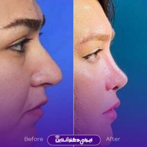 نمونه کارهای دکتر سلمان شاکری
