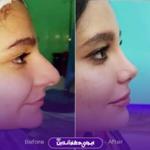 نمونه کارهای دکتر سلمان شاکری