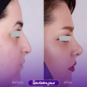 نمونه کار دکتر علی فقیه حبیبی - 10