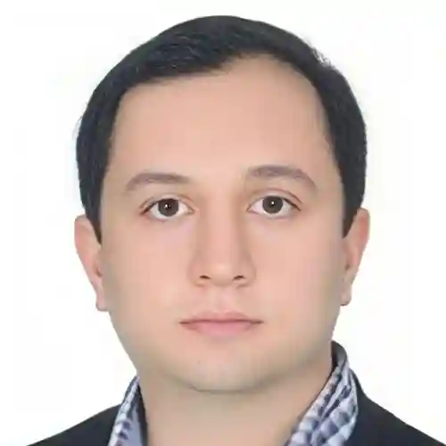 دکتر حسین محمودی