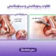 تفاوت سپتوپلاستی و رینوپلاستی
