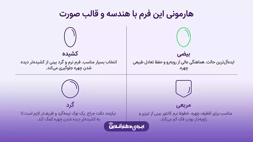 بینی نیمه فانتزی نوک گرد چه شکلی است و به چه چهرهای میآید؟ 6 بینی نیمه فانتزی نوک گرد به چه صورتهایی میآید