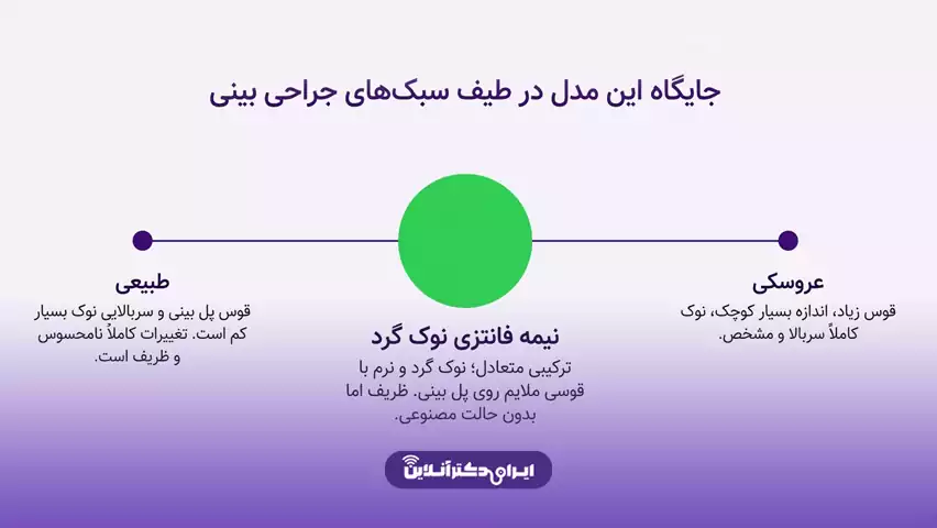 بینی نیمه فانتزی نوک گرد چه شکلی است و به چه چهرهای میآید؟ 4 تفاوت بینی نیمه فانتزی نوک گرد با بینی طبیعی، عروسکی و نوک تیز