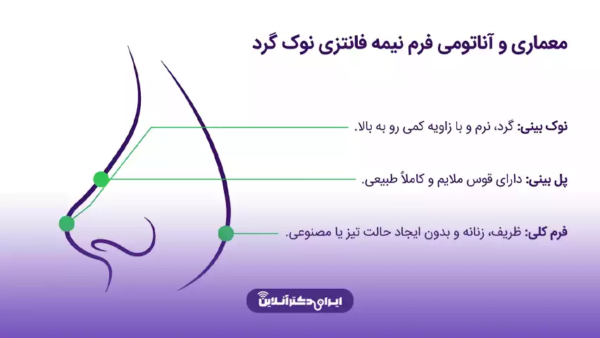 بینی نیمه فانتزی نوک گرد چه شکلی است و به چه چهرهای میآید؟ 2 بینی نیمه فانتزی با نوک گرد چه شکلی است؟